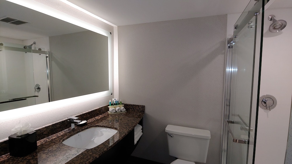 Holiday Inn Express Rolling Mdws Schaumburg Area 31/33