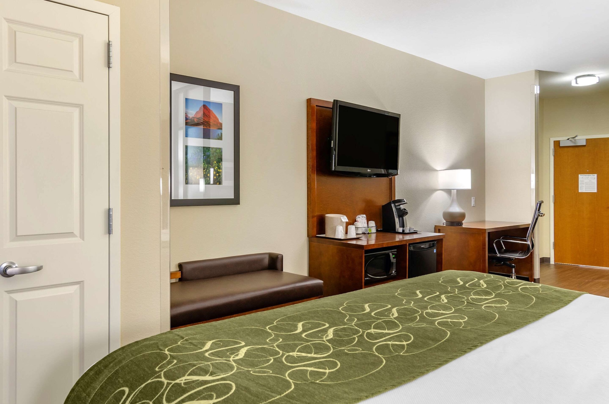 Suite, King Bed, Sofa, Pet Friendly