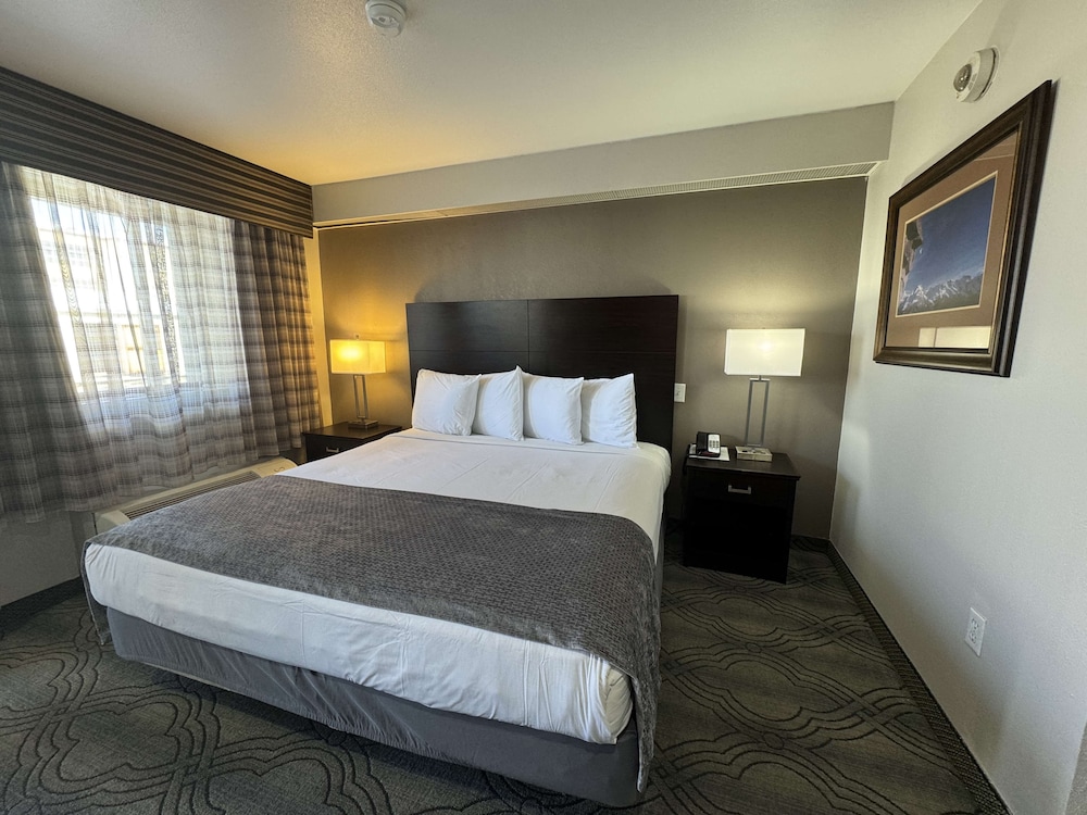 STANDARD, KING BED, ACCESSIBLE