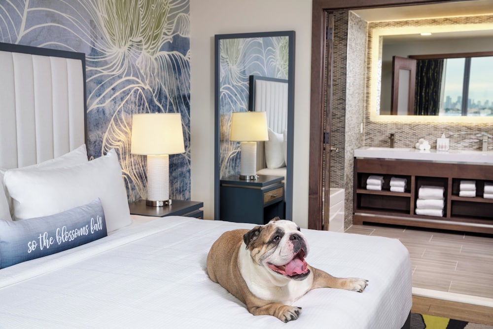 1 Bedroom, Suite, Single Bed, Sofa