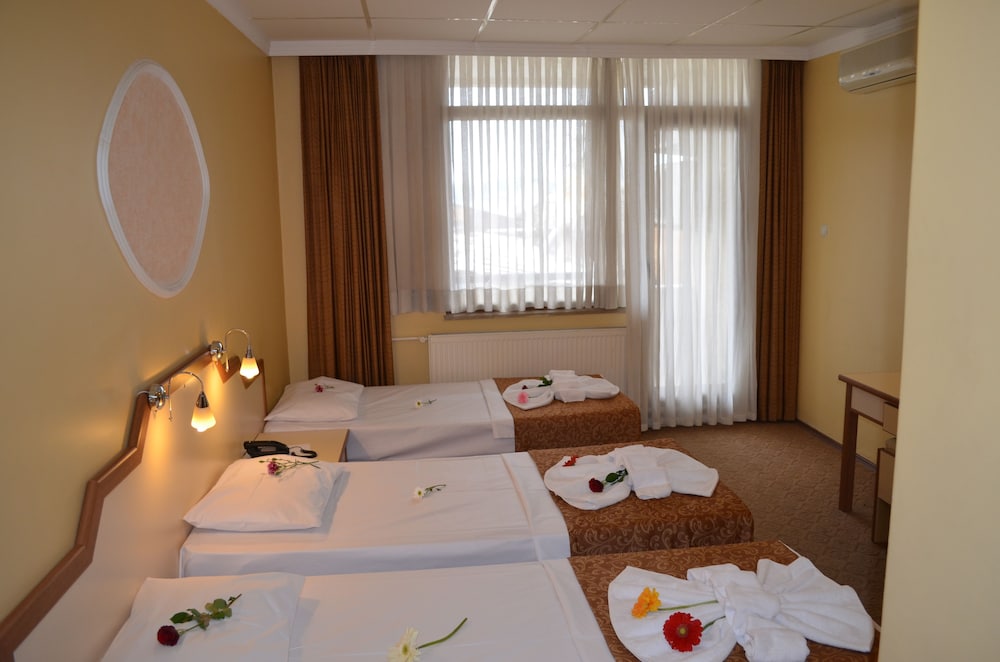 Ayvalik Palas Hotel 18/45