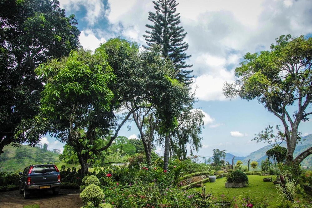 Ancoombra Tea Estate Bungalow 23/38