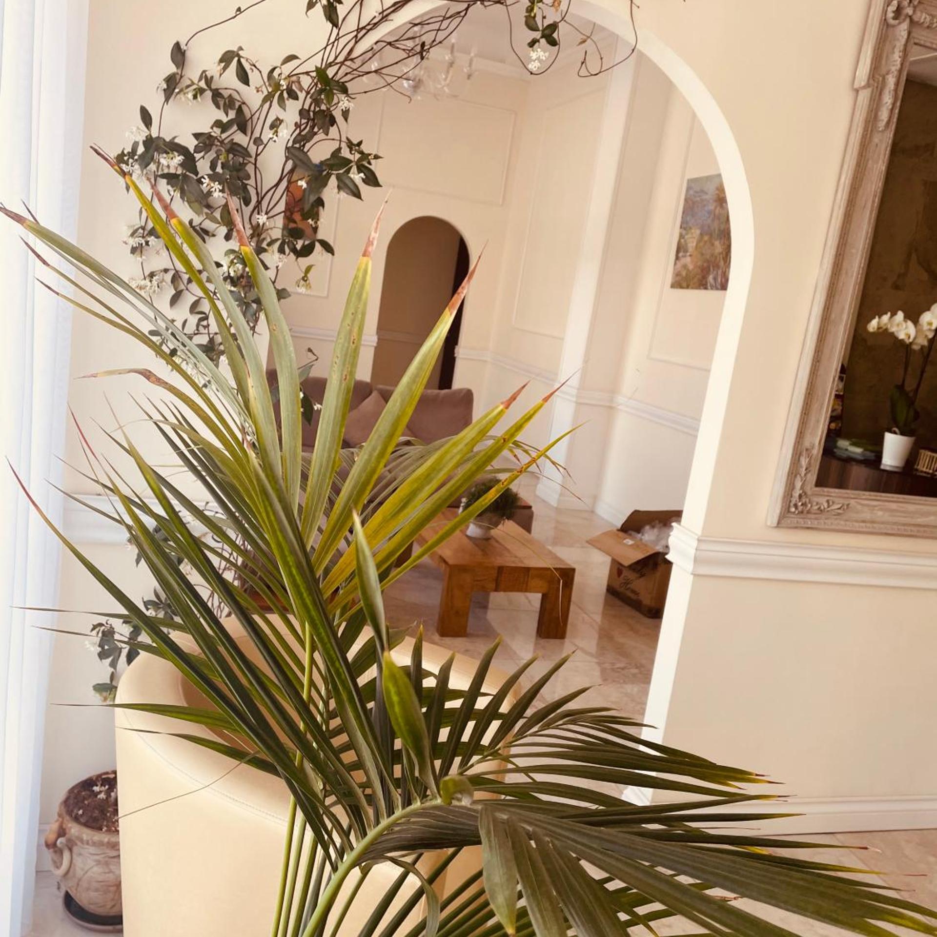 Hotel Regina Margherita 1/50