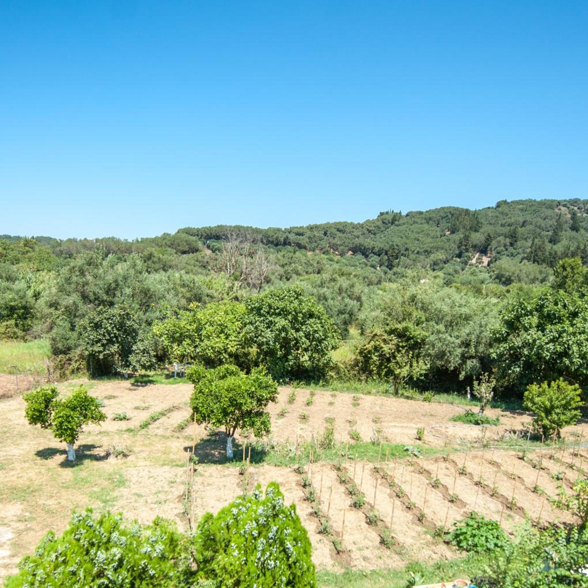 Vassilis Paradise Garden 56/67