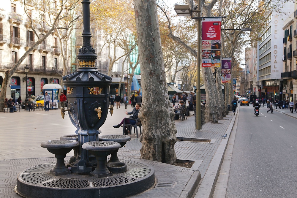 Royal Ramblas 40/72