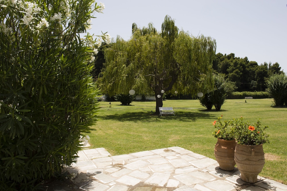Skiathos Holidays Hotel 39/63