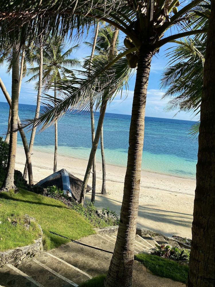 Anda White Beach Resort 56/64