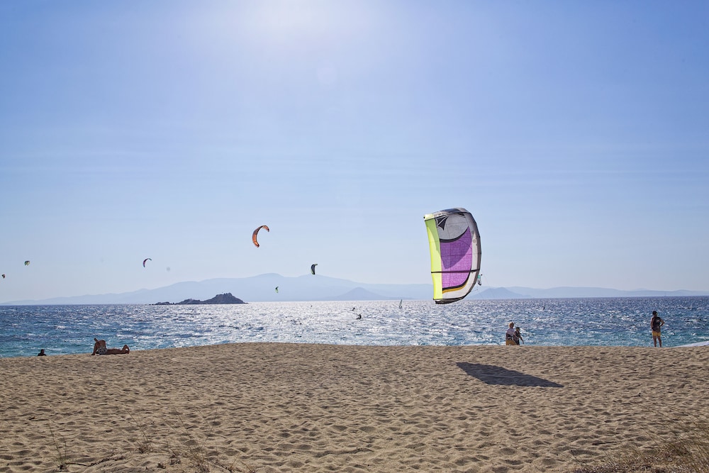 Naxos Luxury Villas 14/36