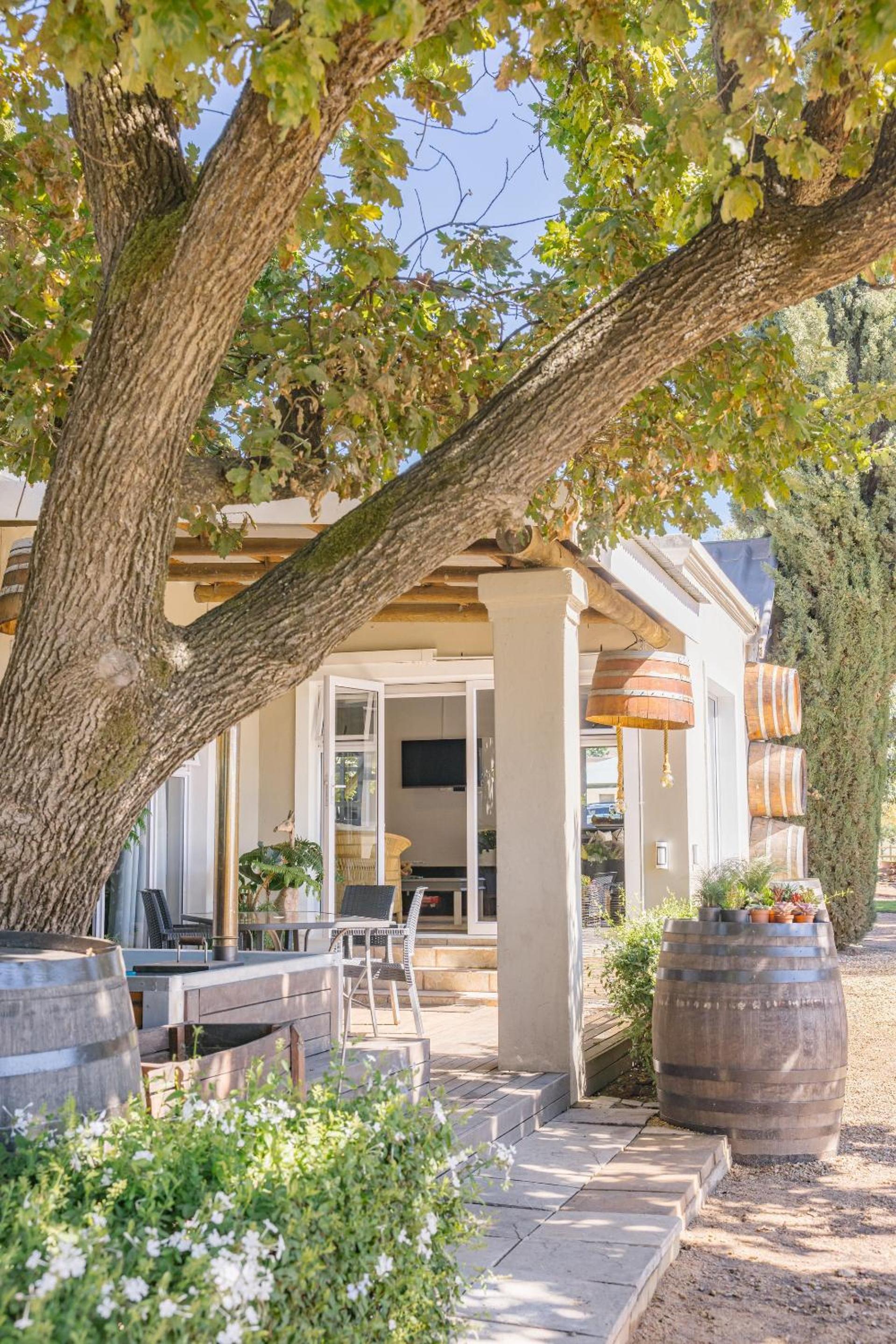 Doran Vineyards Accommodation 14/14
