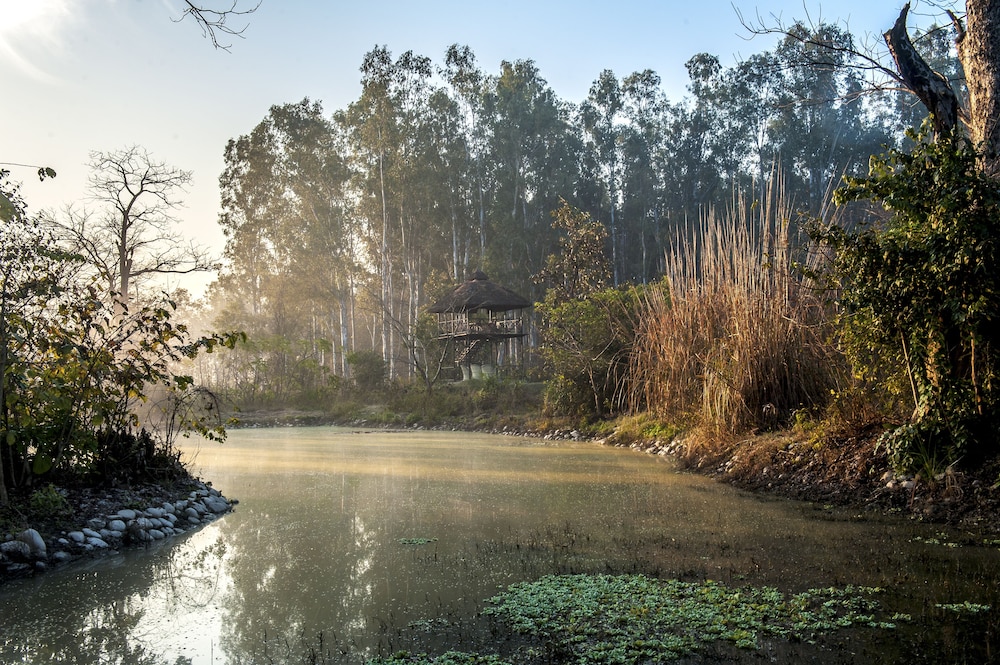 JIMS JUNGLE RETREAT 44/50