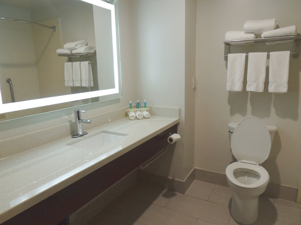 Holiday Inn Express Hotel & Suites Birmingham Ne - Trussville 48/50