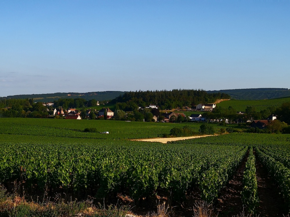 Hotellerie Du Val D'or 35/45
