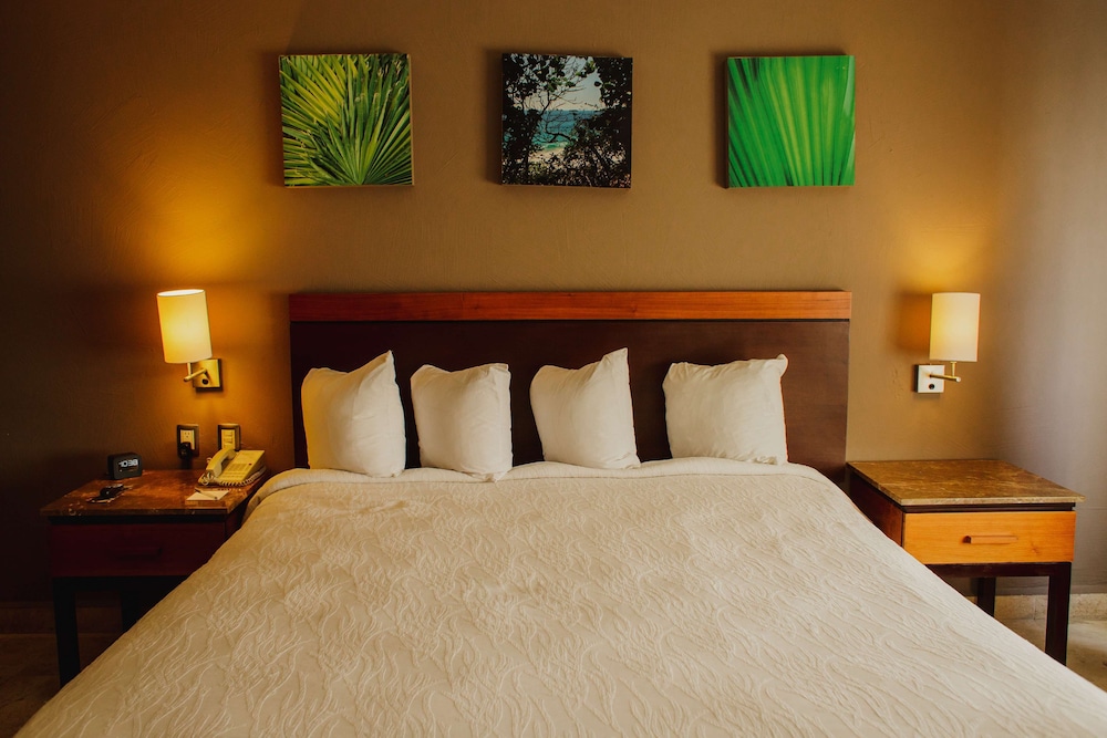Hilton Garden Inn Boca Del Rio Veracruz 13/78