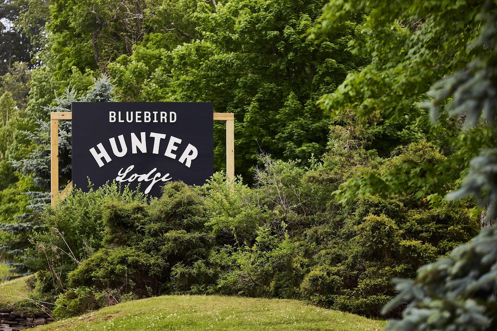 Hunter Lodge, a Bluebird by Lark 43/48
