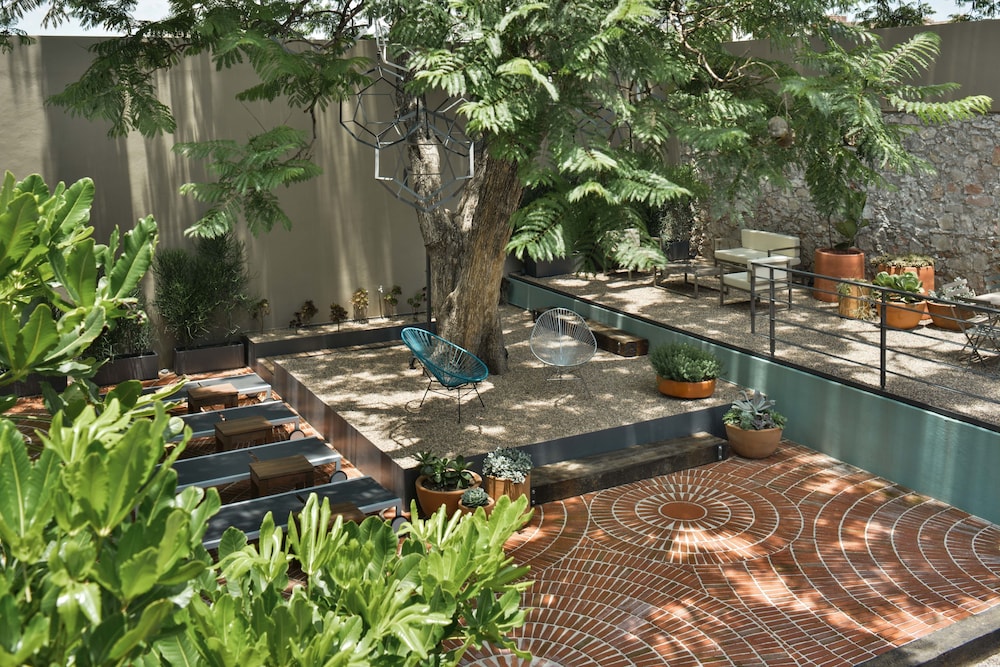 Criol Hotel 43/65