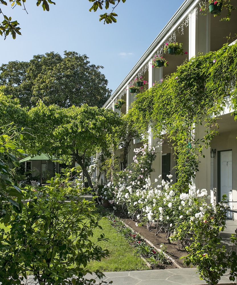 Lavender Inn By The Sea 5/45