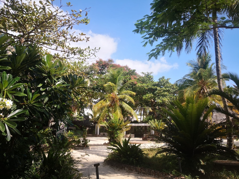 Mambo Ocean Resort 32/50