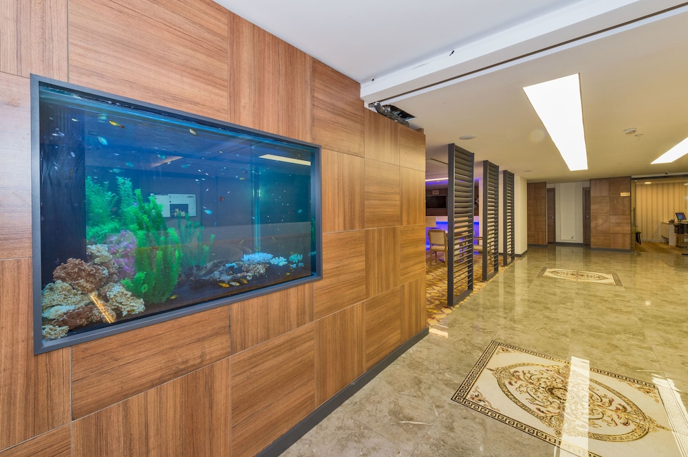 Matiat Hotel Istanbul 11/64