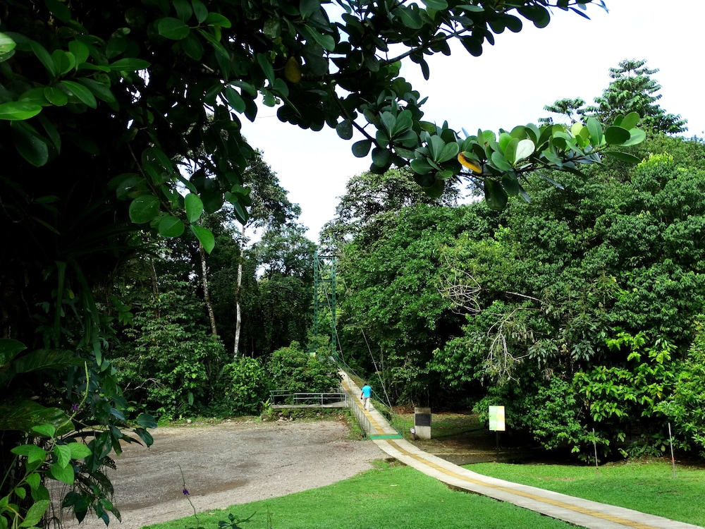 La Selva Biological Station 25/50