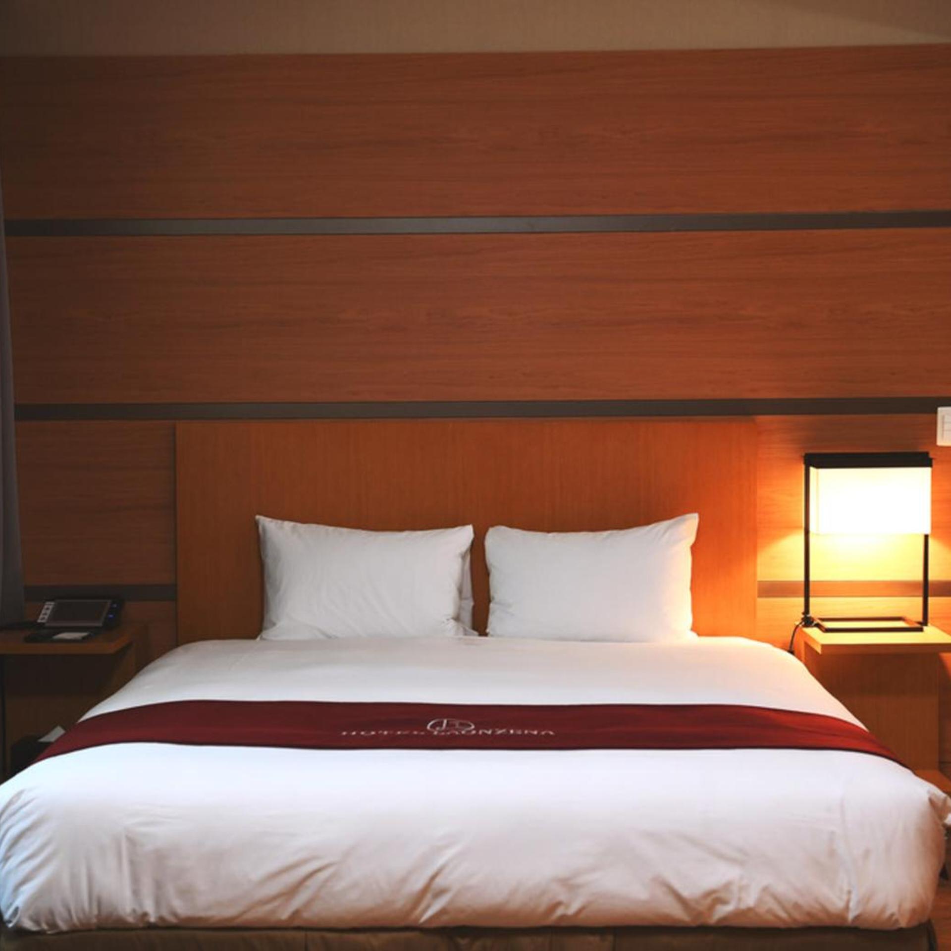 Hotel Laonzena 29/66