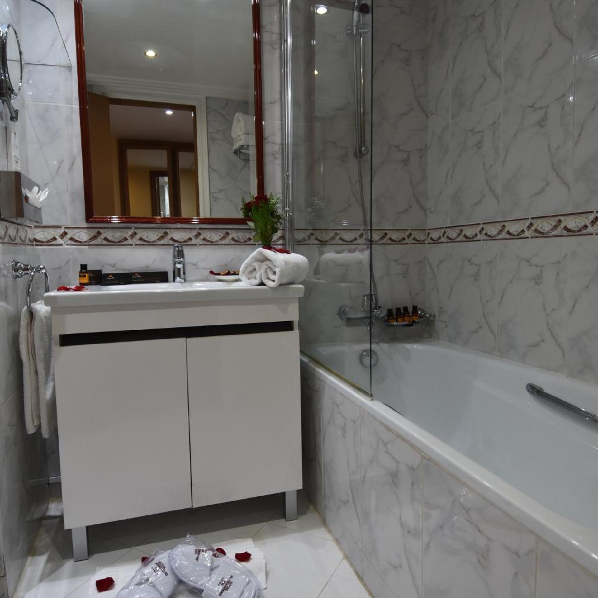 Double room Mountain View