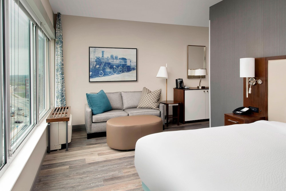 Springhill Suites By Marriott Atlanta Downtown 11/45