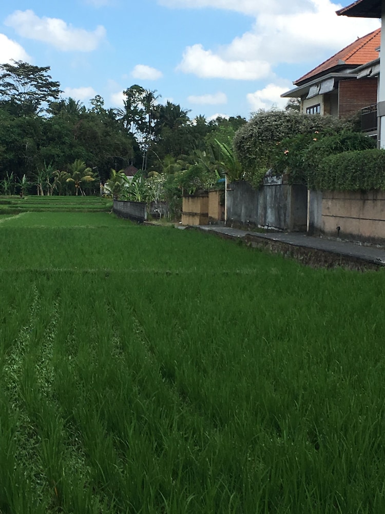 Heaven Villa Ubud 38/50