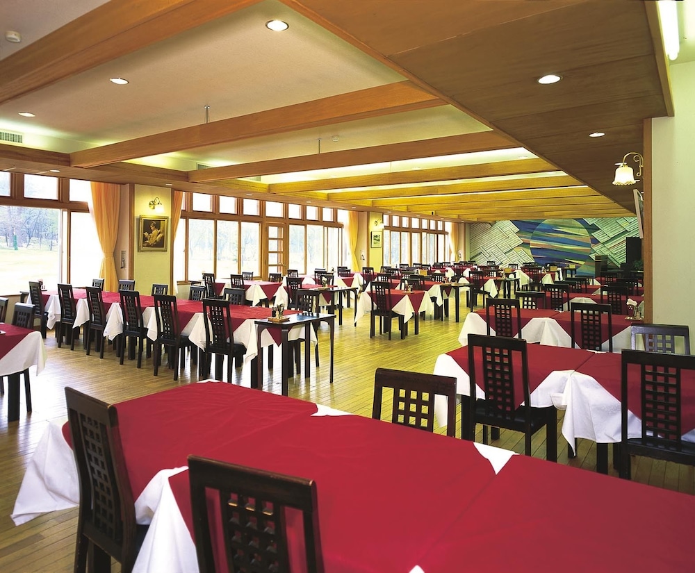 Nikko Astraea Hotel 37/70