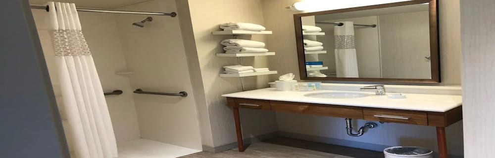 Hampton Inn And Suites Tampa Busch Gardens Area 18/46