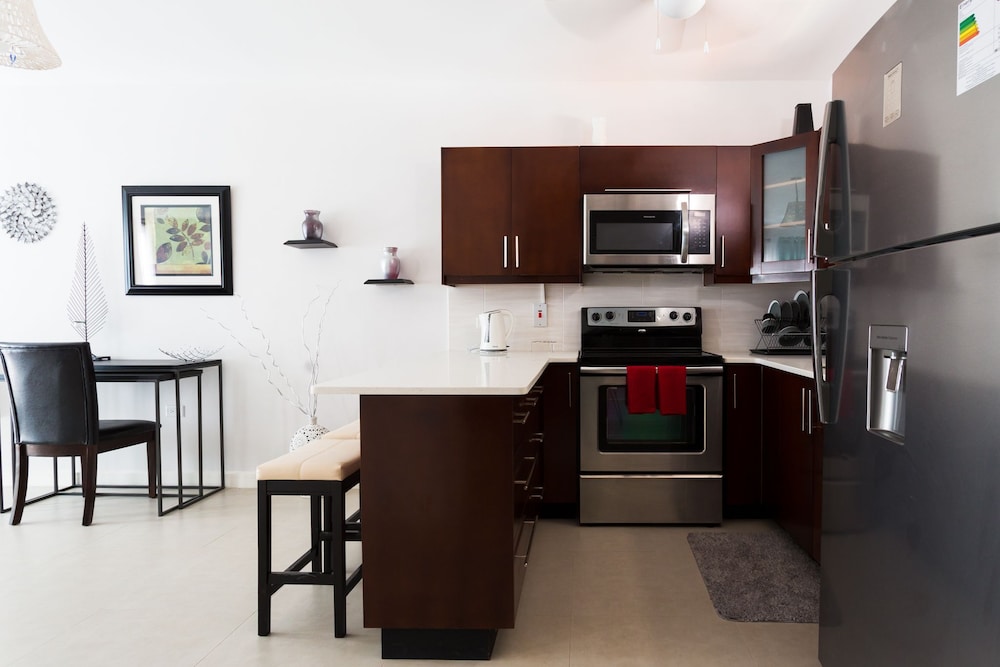 Kingston Luxury Guest Apt At Sullivan 11/19
