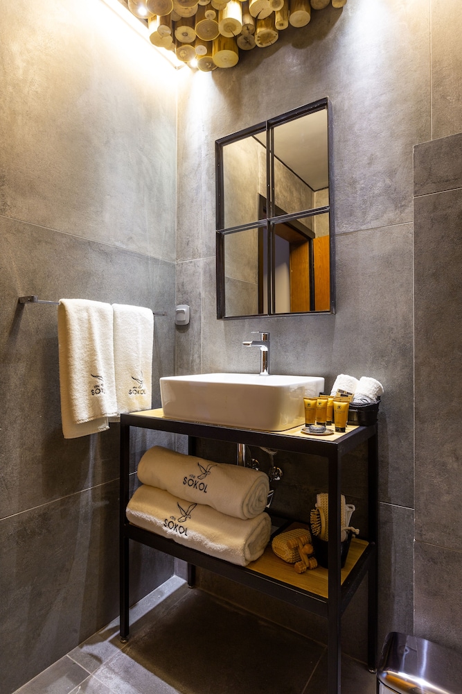Hotel Sokol 14/55