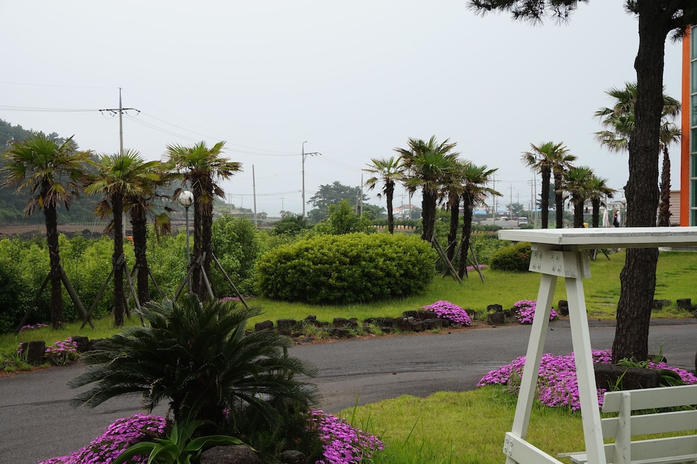 Jeju Feel House 36/50