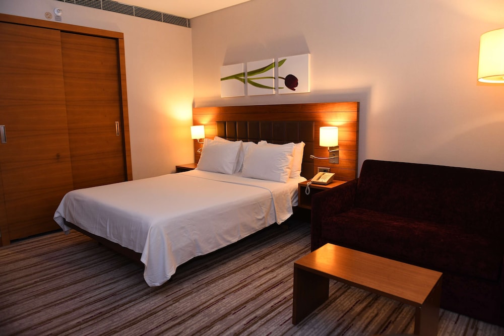 Hilton Garden Inn Konya Turkey 11/47