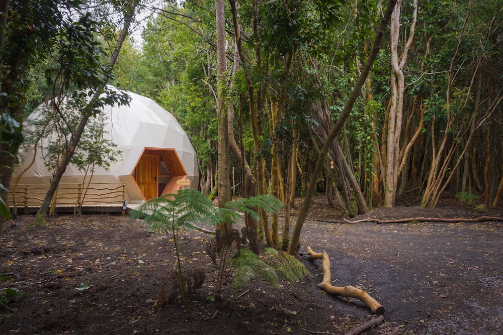 Cabanas Anulen Bosque Nativo 39/49