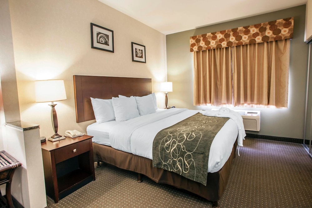 Comfort Suites Elgin Northwest 20/48