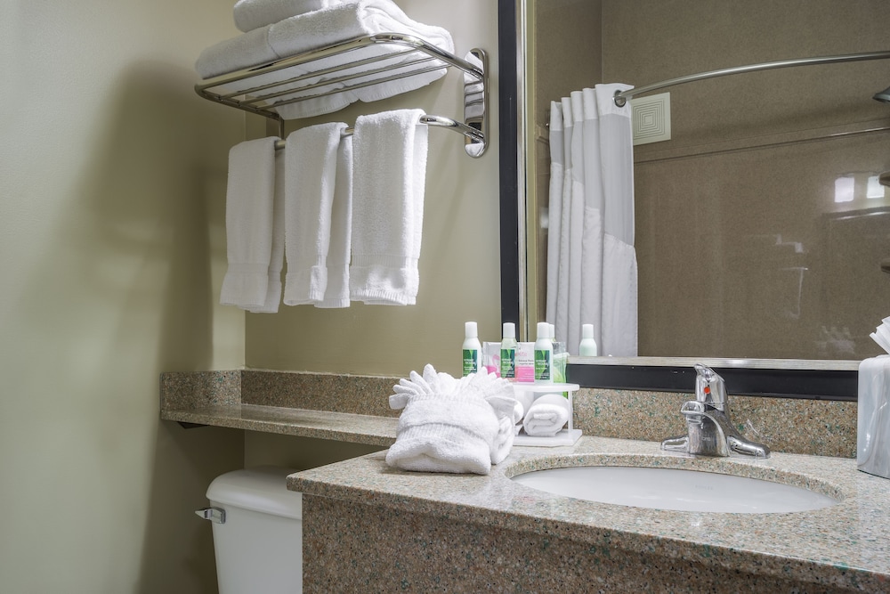 Holiday Inn Express Hotel And Suites St Paul Woodbury 20/79