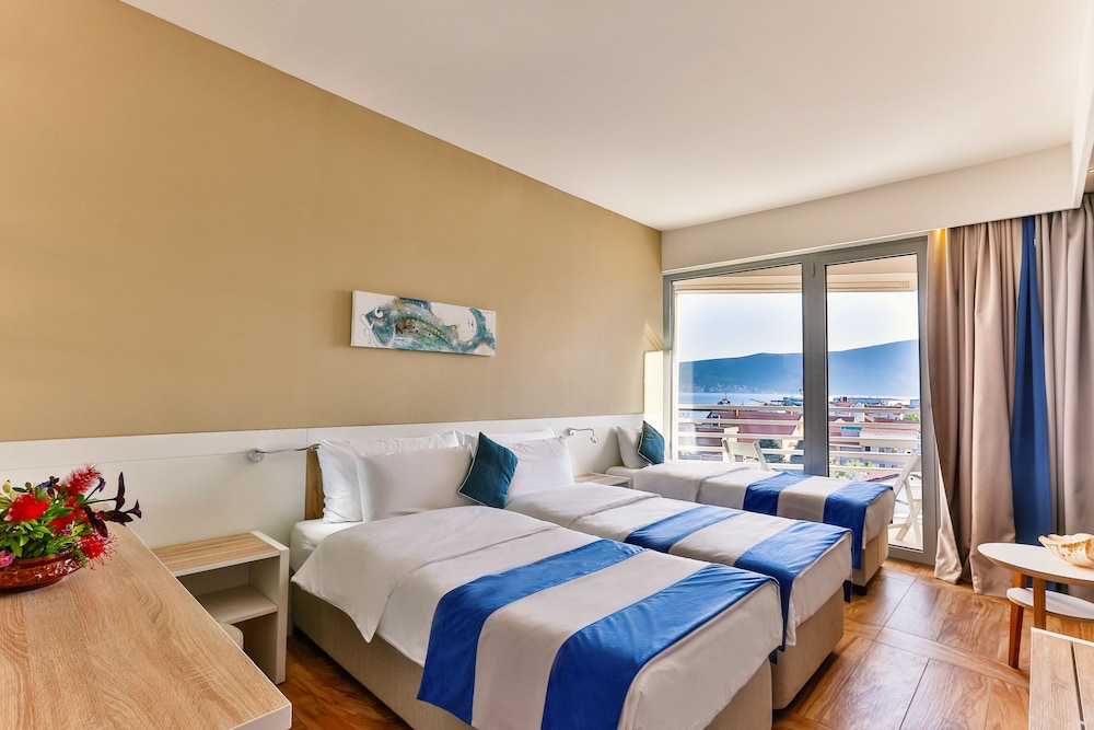 Carine Hotel Delfin 8/40