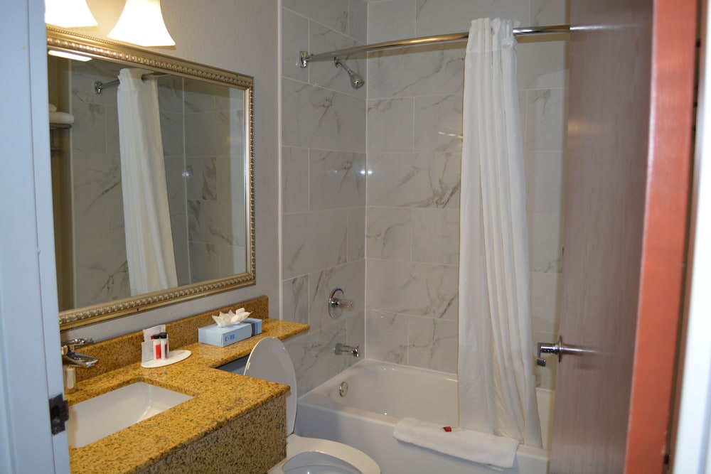 Microtel Inn & Suites by Wyndham BWI Airport Baltimore 16/40