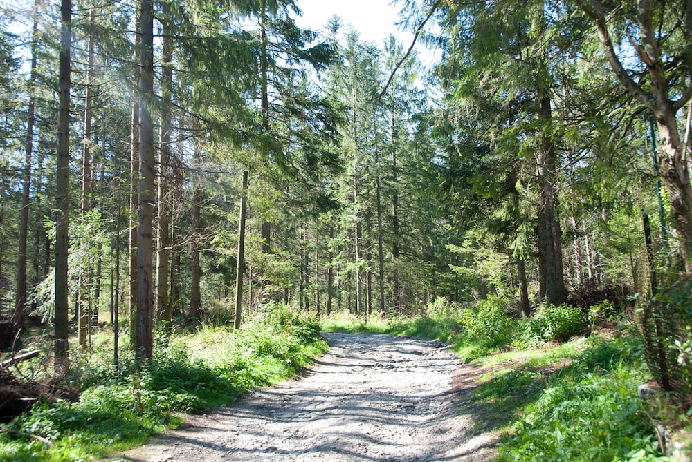 Pensjonat Bialy Potok-Polskie Tatry S.A. 45/50