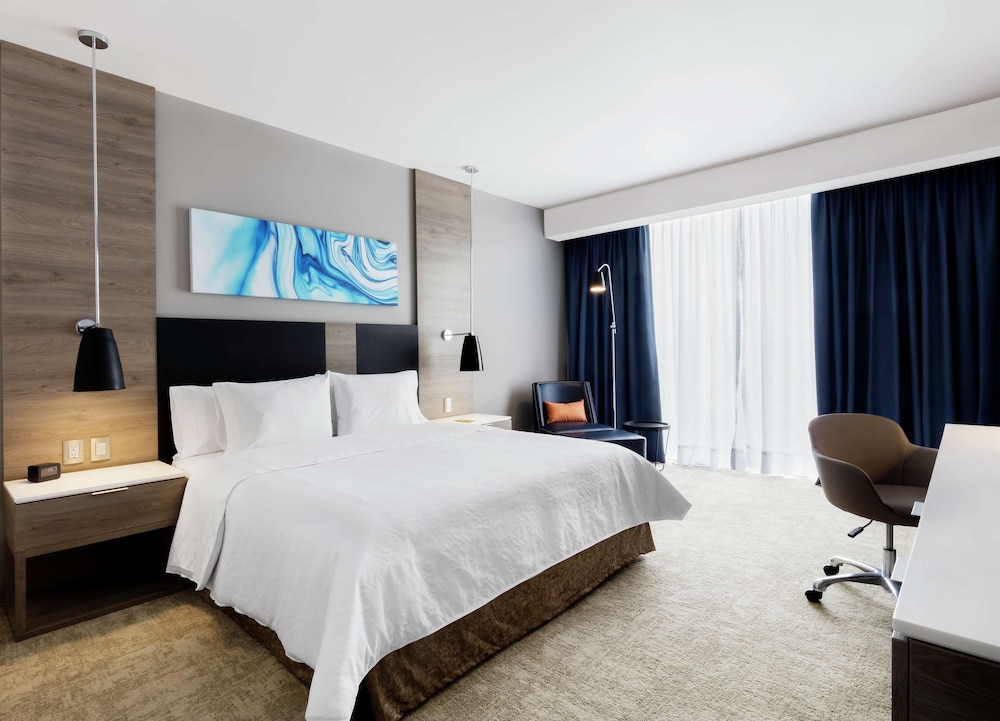 Hilton Garden Inn Mexico City Santa Fe 13/73