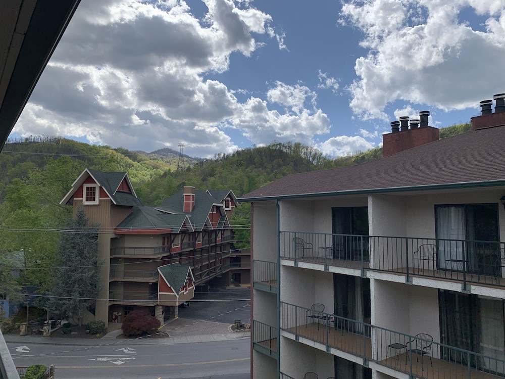 Oak Square Condominiums 5/50
