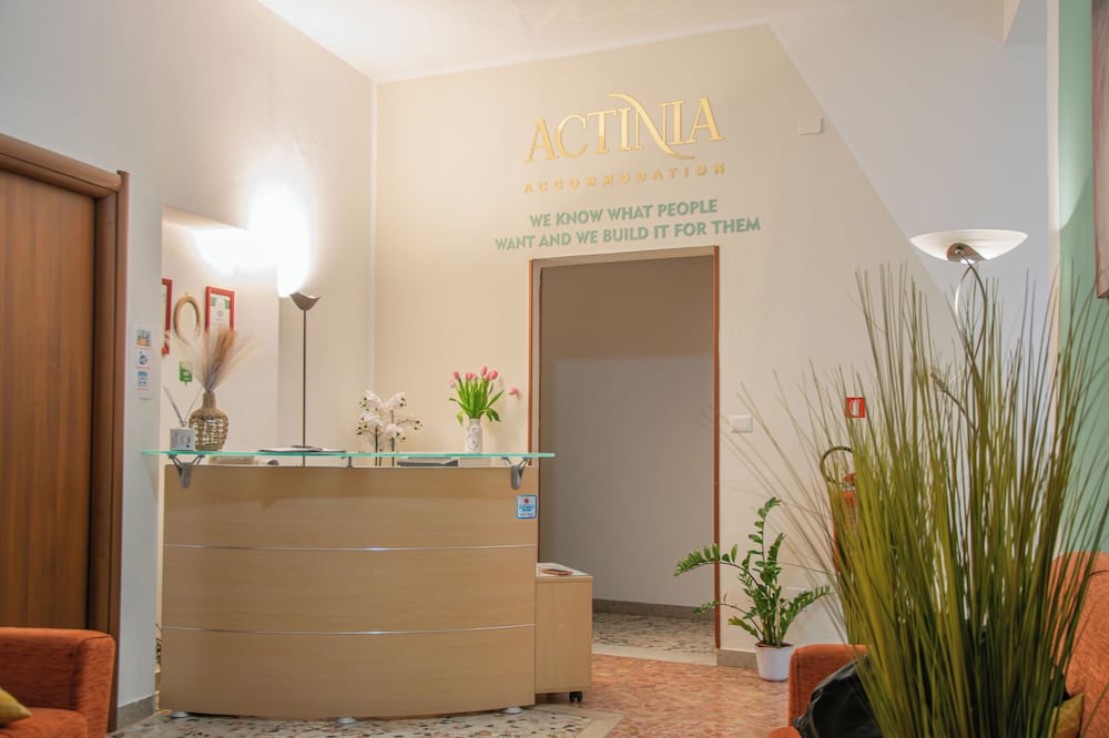 B&B Actinia 2/41