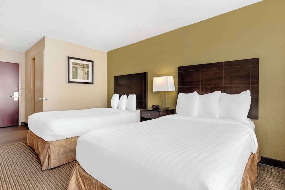 Standard, 2 Double Beds