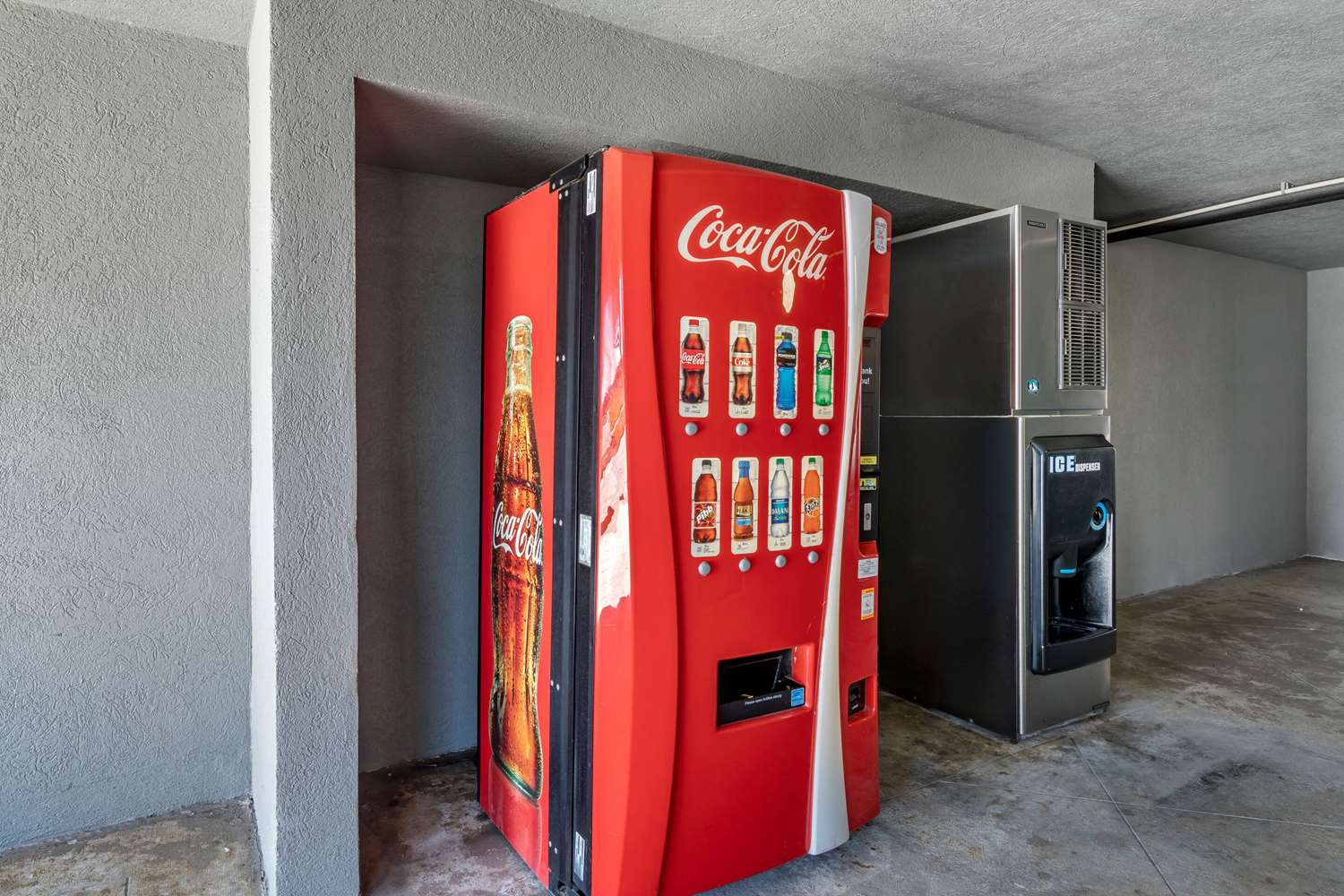 クオリティ イン 写真2