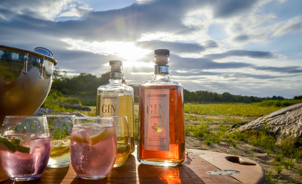 Lion Sands Narina Lodge 写真4