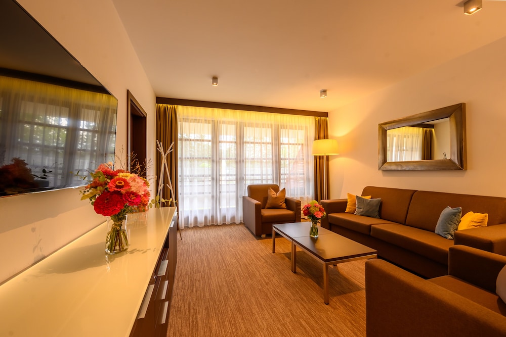 Hotel Bedriska Wellness Resort And Spa 54/80
