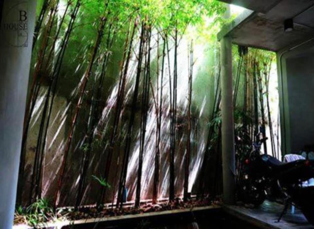 B Arch House in CHIANG MAI
