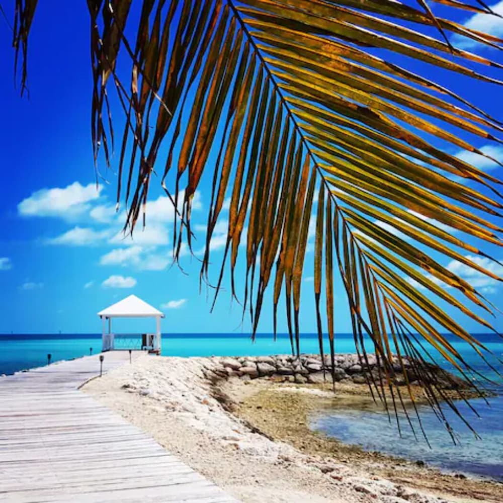 Palm Cay Beach Club & Marina 46/48