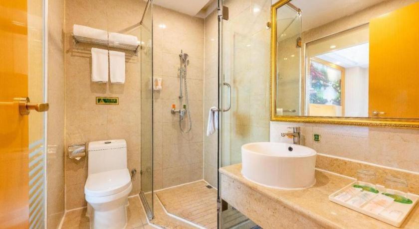 Vienna Hotel (Shenzhen Bantian Vanke Diwuyuan) 46/49