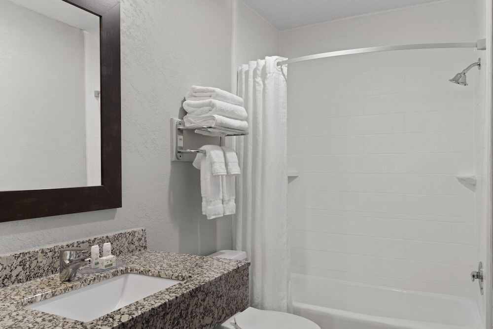 Premier, King Bed, Ramada by Wyndham Cedar Rapids South 3/3